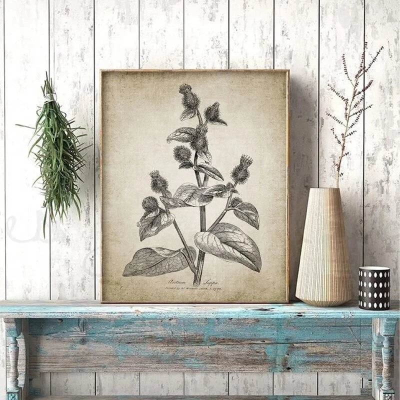 Antique Botanical Vintage Posters and Prints Wall Pictures Plants Retro Wall Art Canvas Painting Home Room Wall Decoration