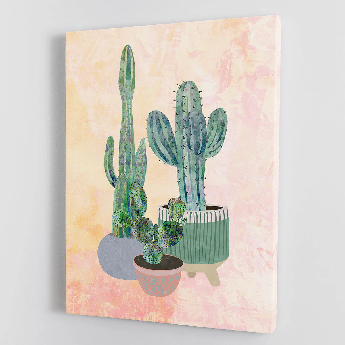 Boho Cactus Trio Canvas Print or Poster