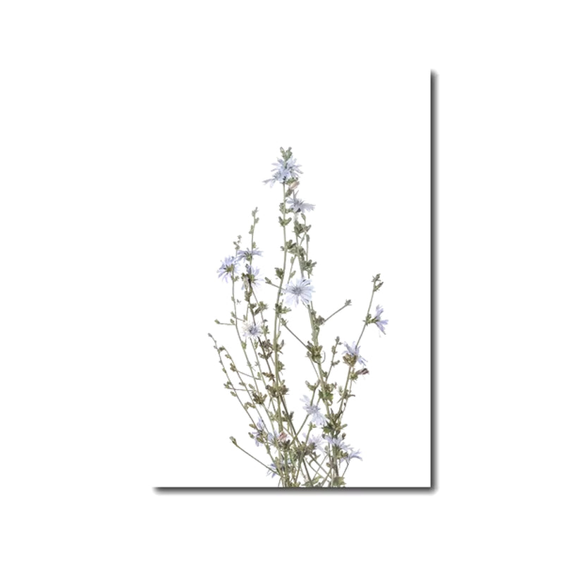 Flowers Botanical Scandinavian Posters Wildflowers Nordic Style Gallery Wall Art Prints Decorative Painting Pictures Home Decor