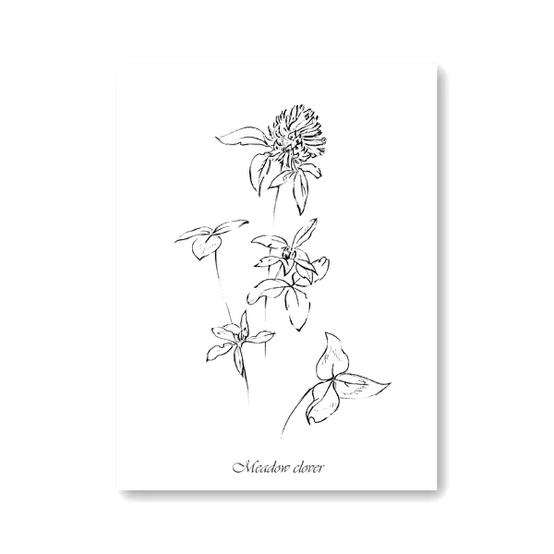 Flowers Botanical Scandinavian Posters Wildflowers Nordic Style Gallery Wall Art Prints Decorative Painting Pictures Home Decor