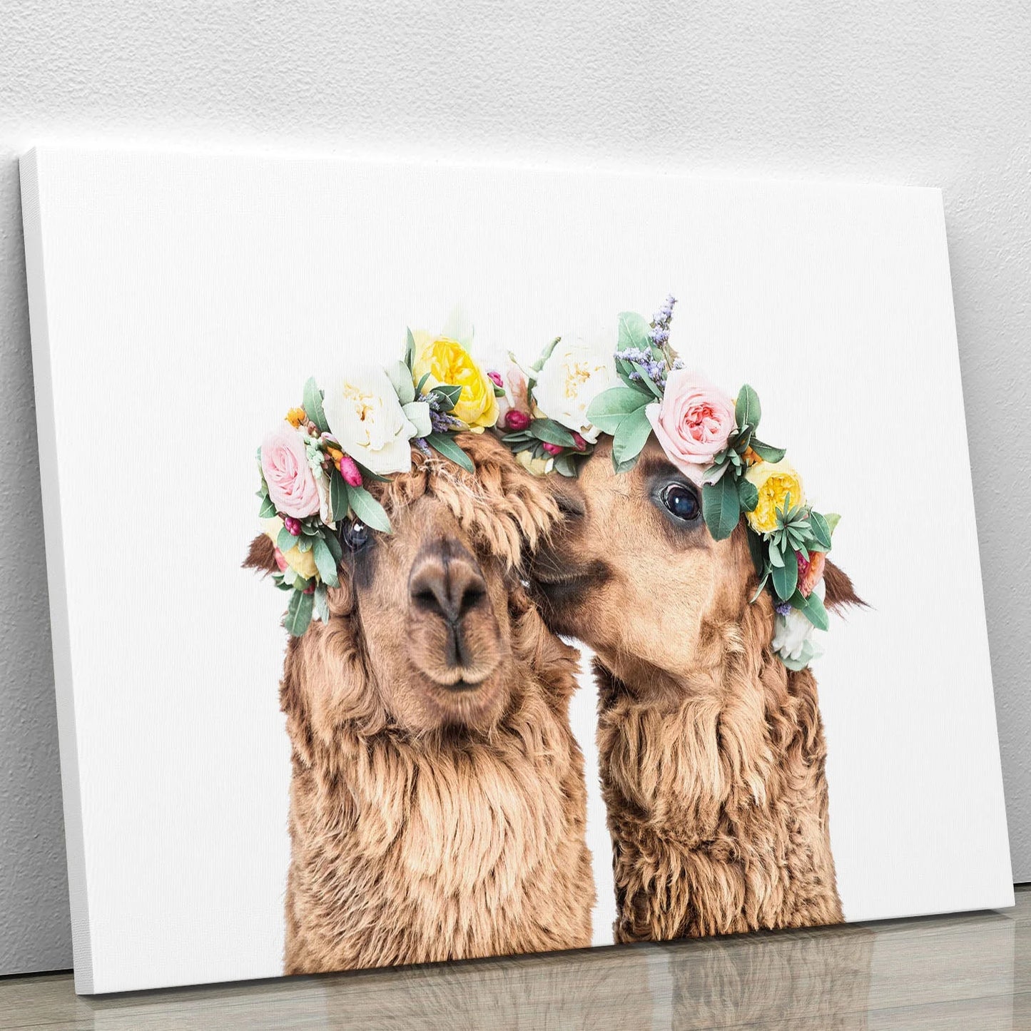 Boho Alpacas Canvas Print or Poster