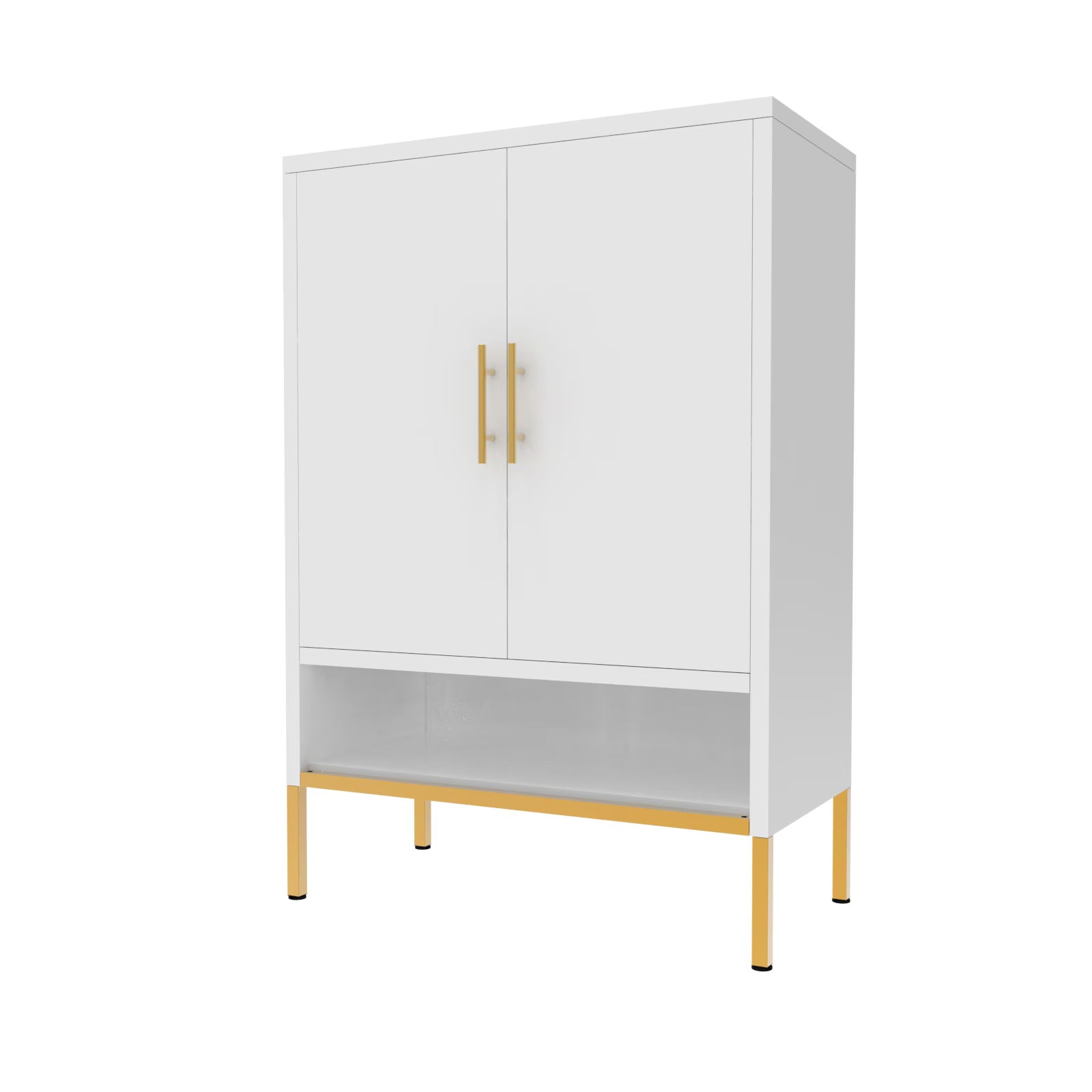 2 Door Shoes Cabinet