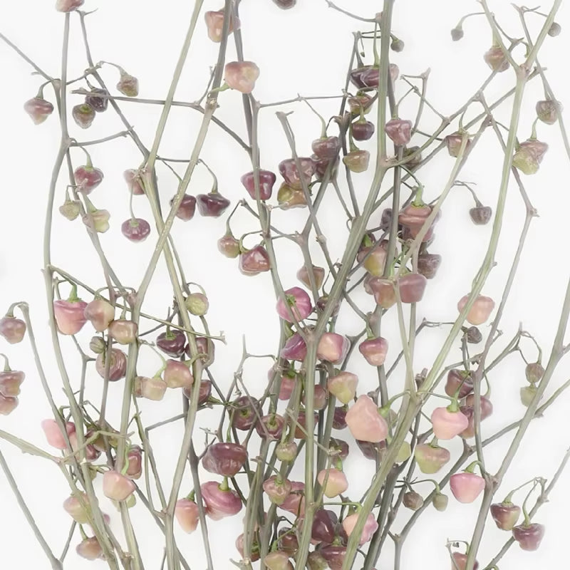 Flowers Botanical Scandinavian Posters Wildflowers Nordic Style Gallery Wall Art Prints Decorative Painting Pictures Home Decor